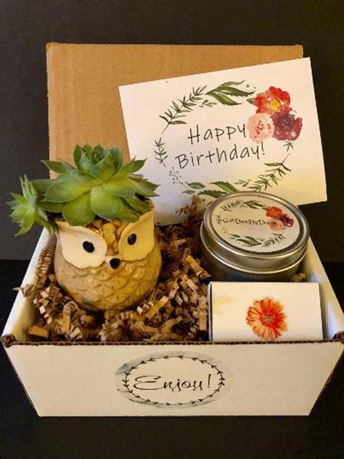 Cactus Birthday Box