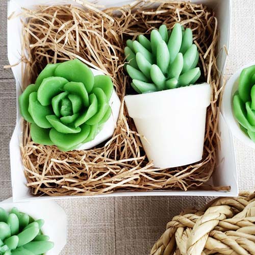 Cactus Tumbler,Cup-What the Fucculent-Cute Succulent Gifts for Women,Plant  Lady Gifts,Cactus Gifts for Gardeners Women,Plant Gifts for Plant  Lovers-Cactus 