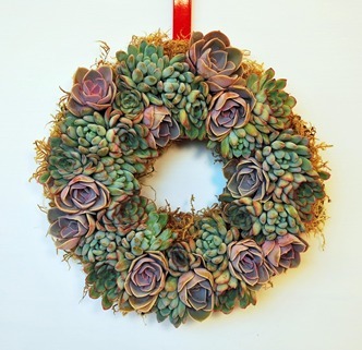 Optometrist Gift Ideas: Succulent Wreath