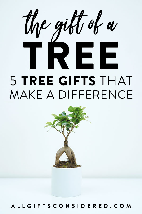 5 Great Tree Gifts That Make a Difference