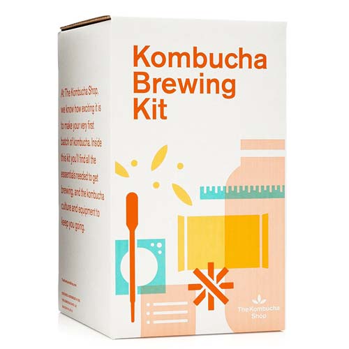 Vegan Gift Ideas for People Who Love Kombucha