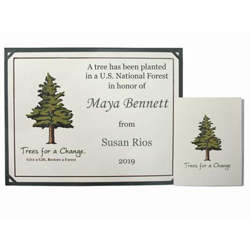 Give the gift of a tree planted in a national forest