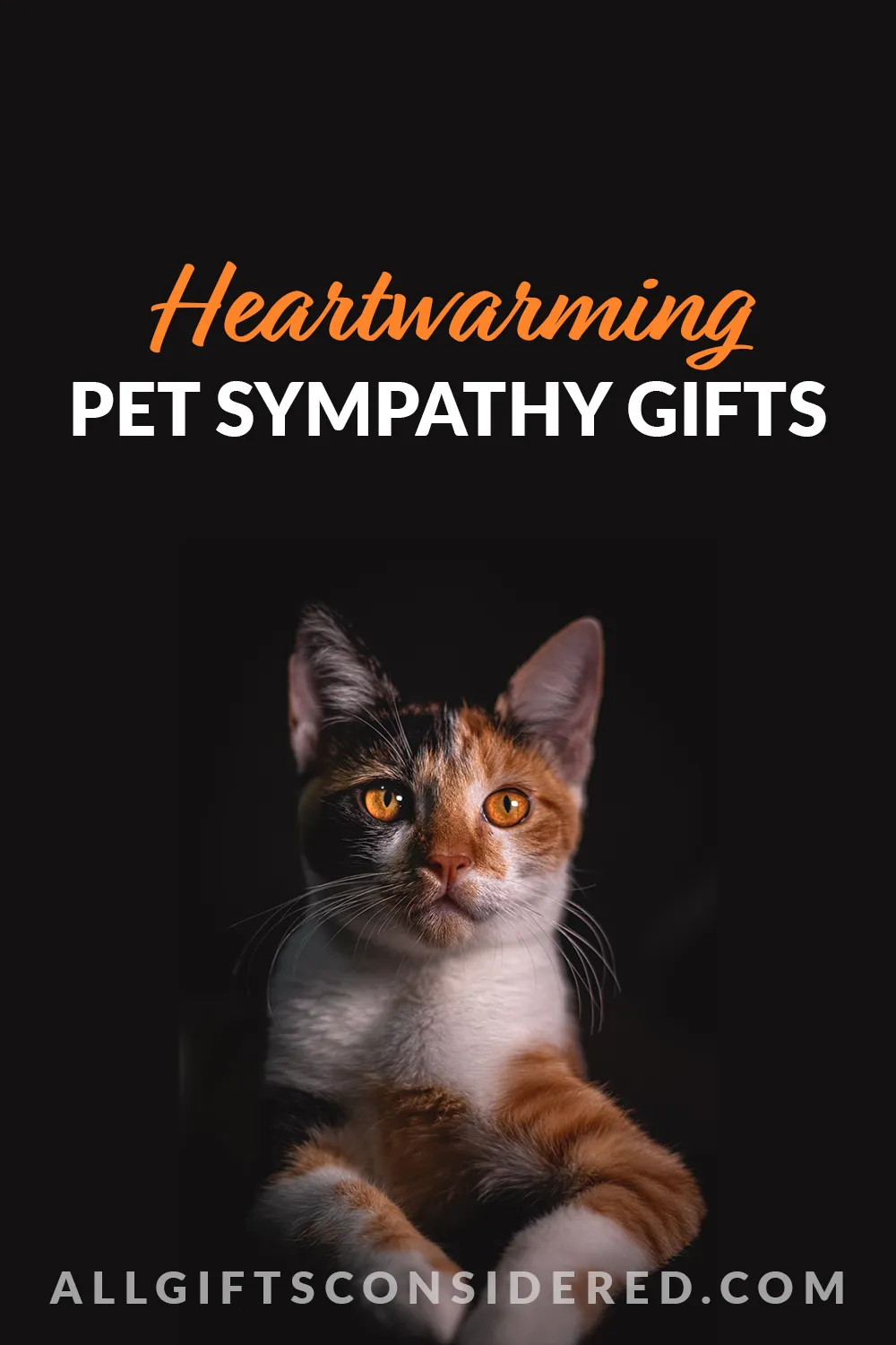 Heartwarming Pet Sympathy Gifts