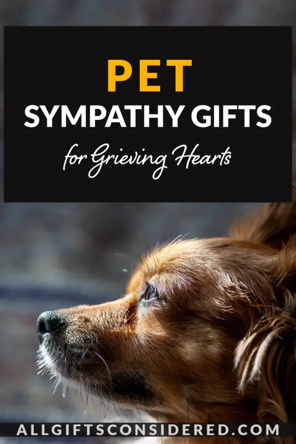 pet sympathy gifts- pin it image