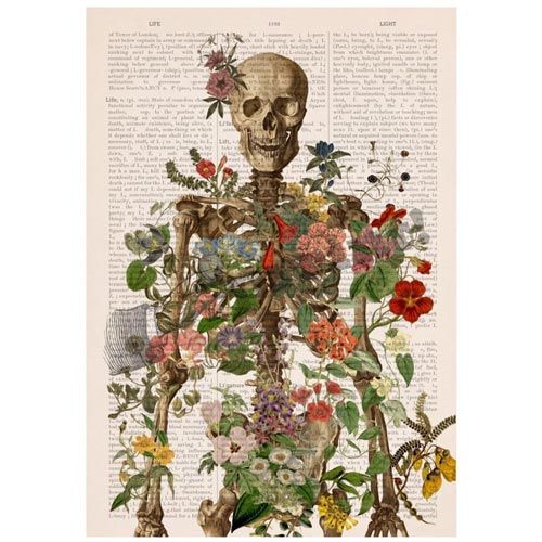 Floral Art Print for the Doctor Who Has Everything