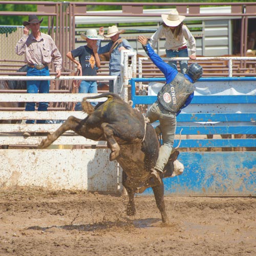 PBR Event Gift for Bull Riders and Ranchers