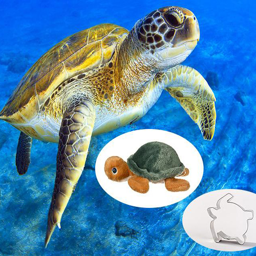 Sea Turtle Adoption Pack