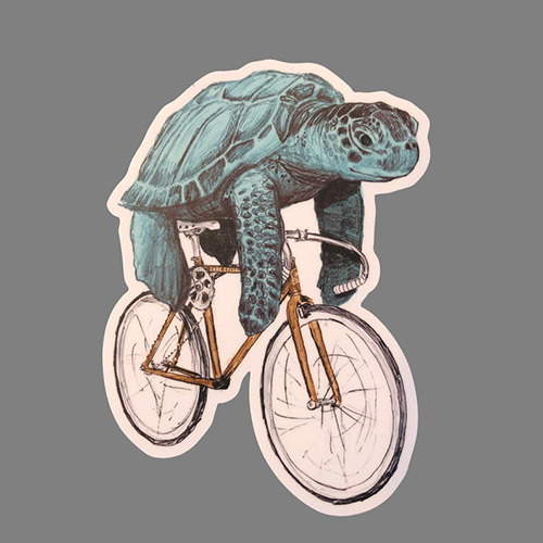 Sea Turtle Sticker