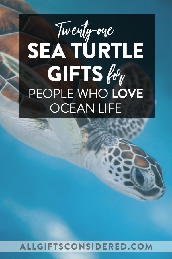 Sea Turtle Gifts for People Who Love Ocean Life All
