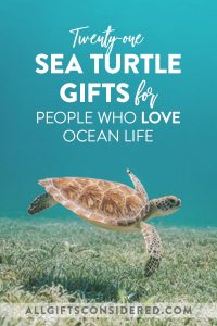 21 Sea Turtle Gifts for People Who Love Ocean Life » All Gifts Considered