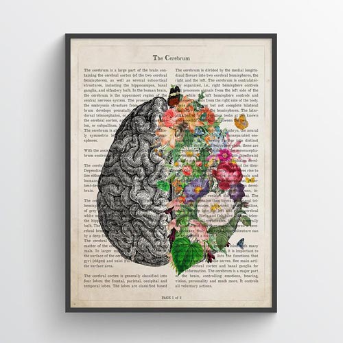 Creative Psychiatrist & Therapist Gift Ideas