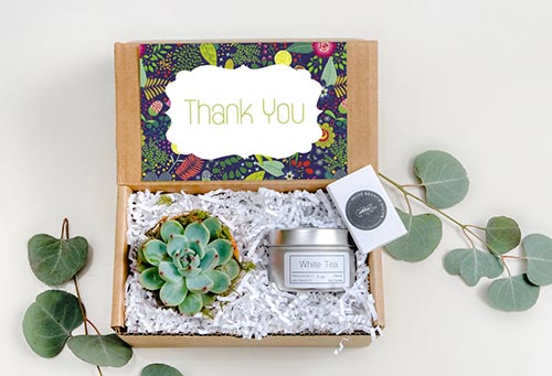 Succulent gift box ideas