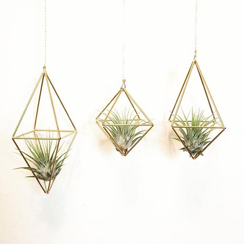 unusual gifts for men - Geometric plant hanger mens gift idea