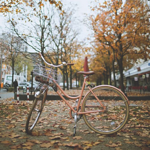 Guided Bike Tour