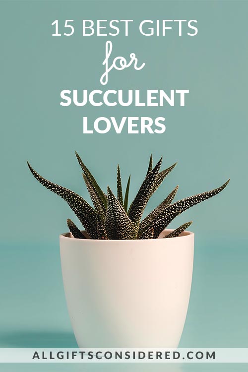 15 Amazing Gifts for Succulent Lovers