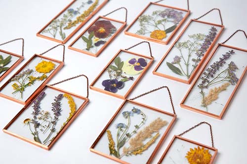 Framed Pressed Flowers