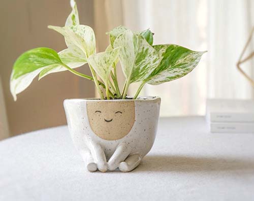 Ceramic Planter Pot