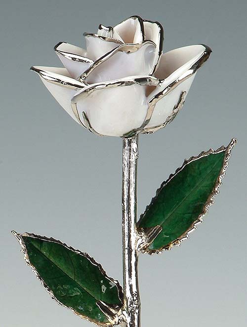 Platinum Dipped Rose - 20th Anniversary Gifts