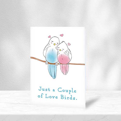 Valentine's Day Cards - Just a Couple of Love Birds