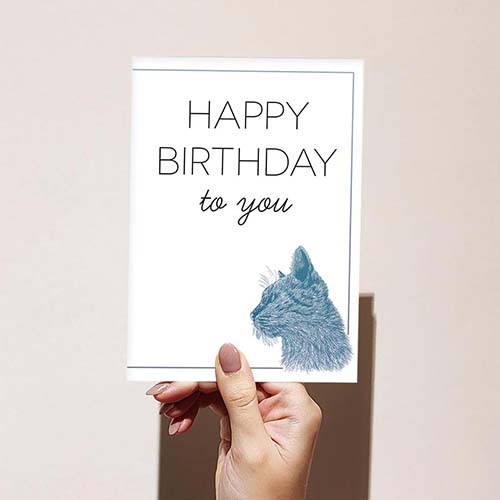 Birthday Wishes & Cards - Blue Cat
