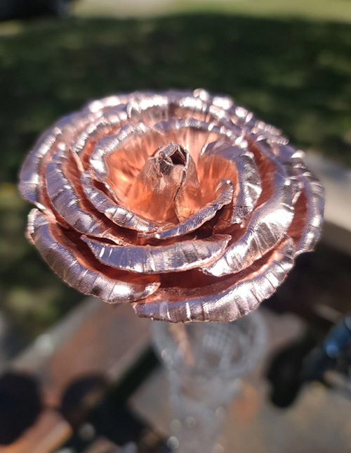 Copper Rose