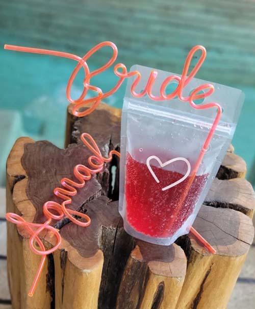 Bridesmaid Gifts - Squad Straw and drink pounch
