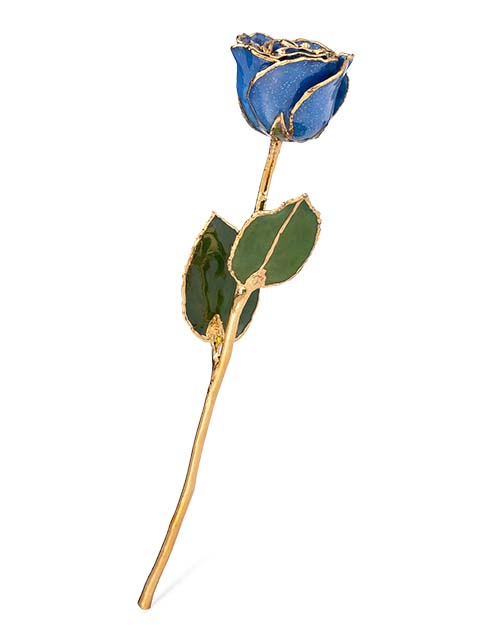 blue sapphire forever rose