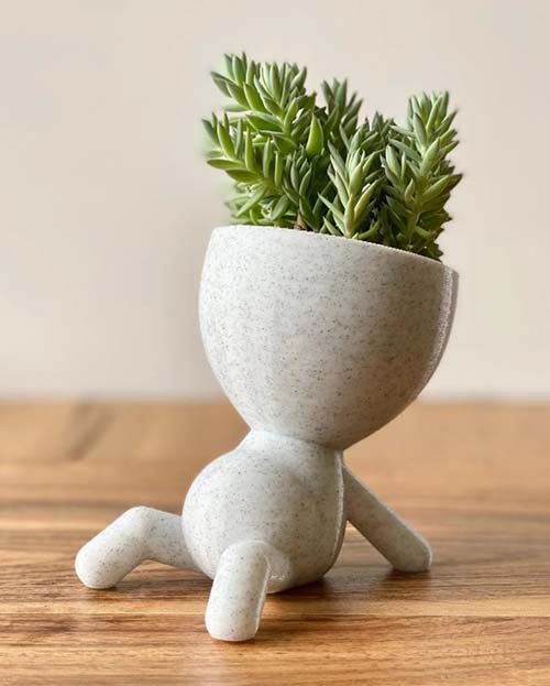 preggo plant pot