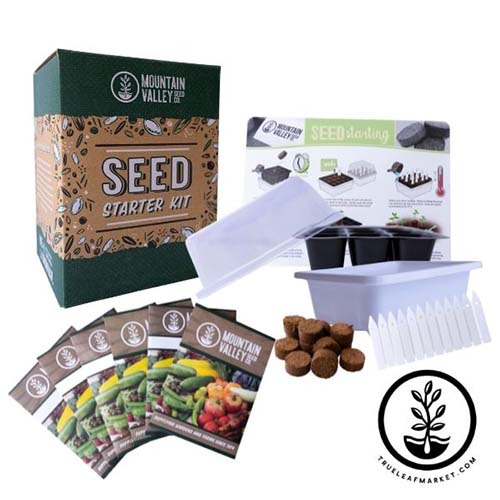 bridal shower game prizes - seed growing kit