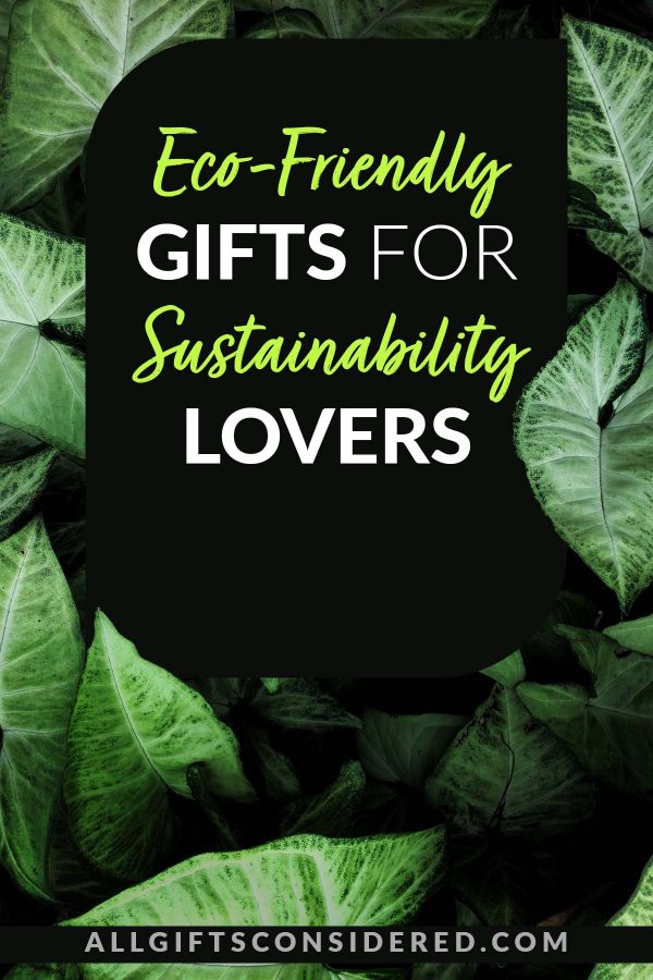 eco-friendly gifts: feature image