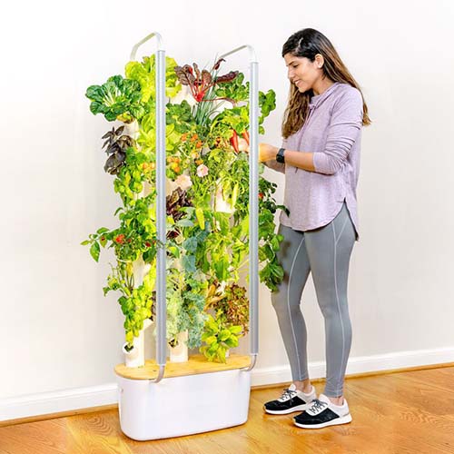 eco-friendly gifts - personal indoor garden