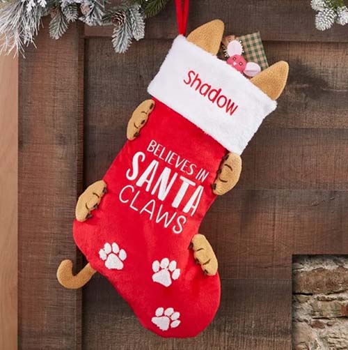 Believes in Santa Claws