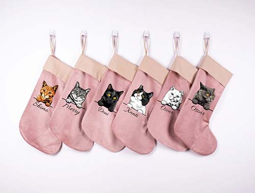 Christmas velvet illustration stockings