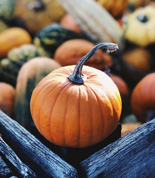 pumpkin pampering mason jar