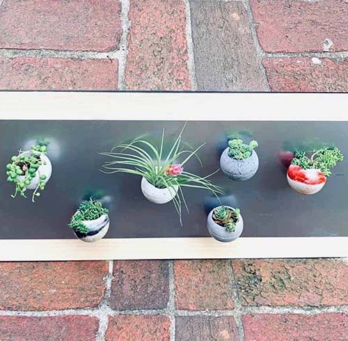 thanksgiving gifts for teachers - DIY Magnetic Cement Planters