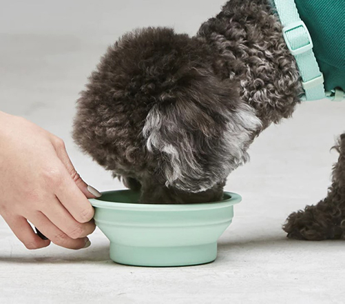 collapsible travel pet bowl