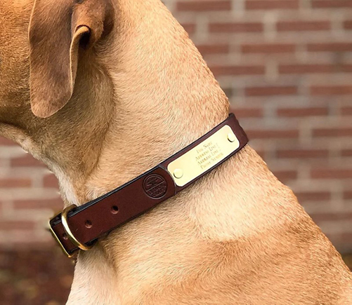 personalized leather collar