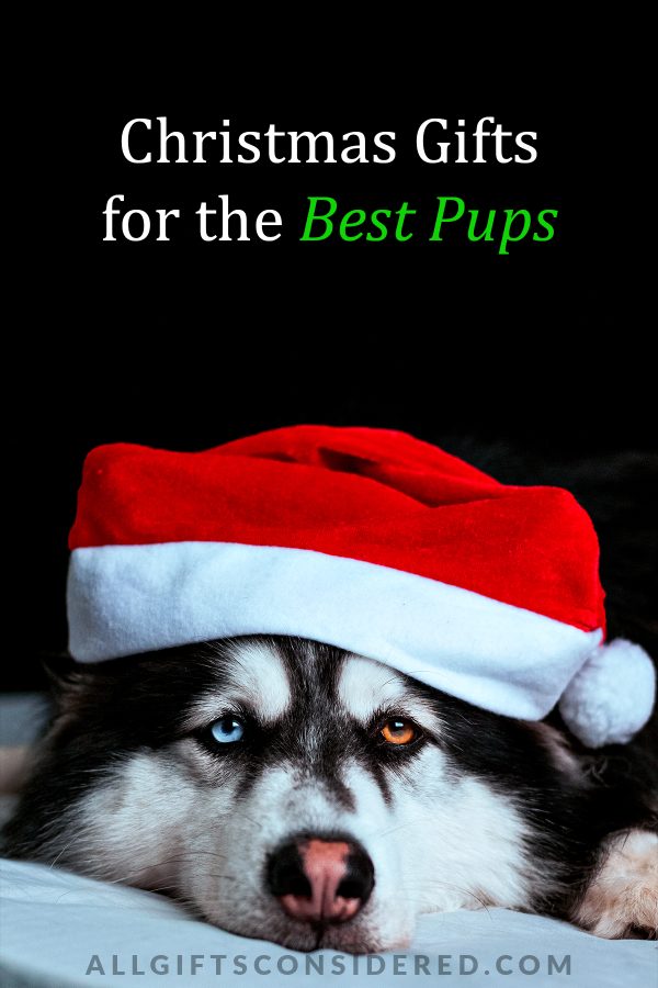 dog christmas gifts pin it image