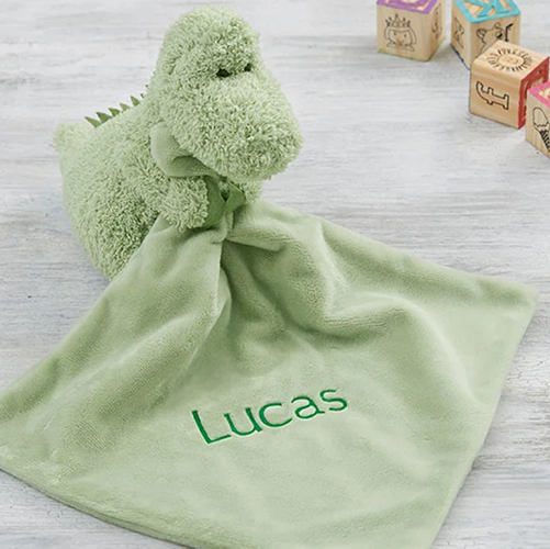 cute personalized dinosaur blanket