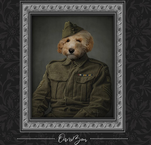 classic military pet portrait