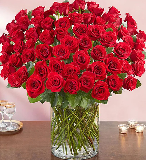 100 Red Roses