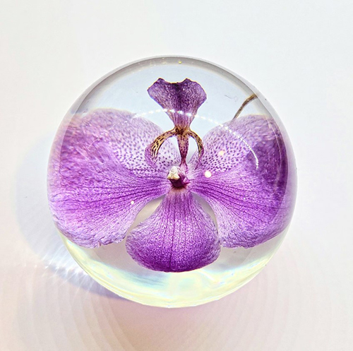 Orchid Paperweight