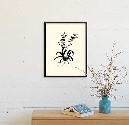 Orchid Silhouette Print