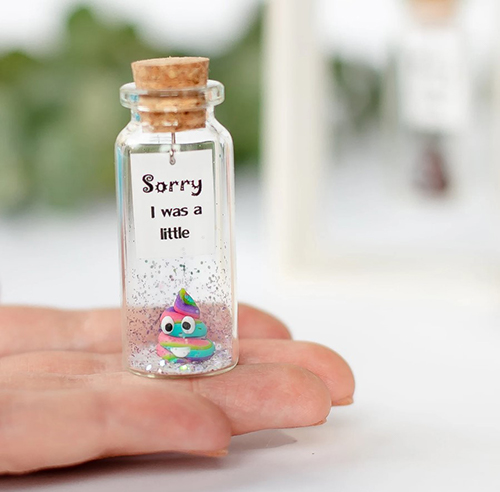 Funny Apology Gift