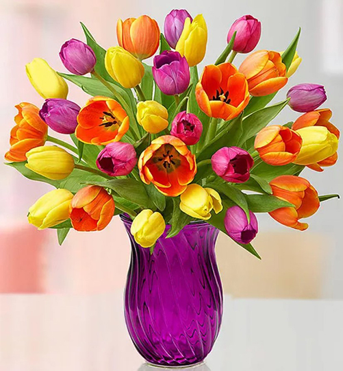 Beautiful Spring Flowers