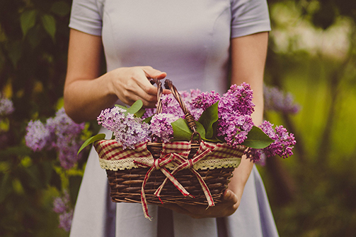 Gardening Theme