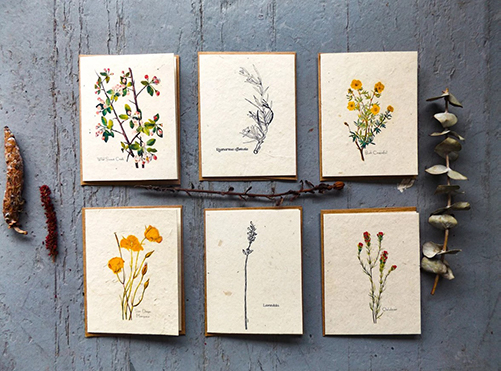 earth day gifts - Plantable Seed Cards
