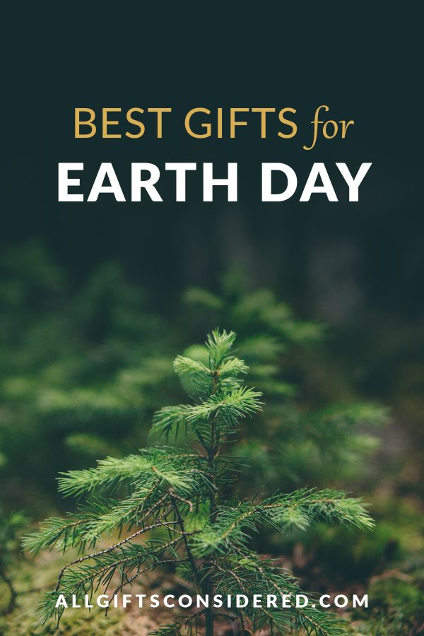earth day gifts - pin it image