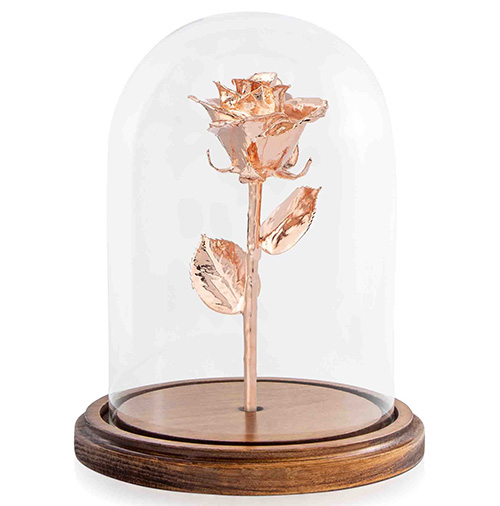 Enchanted Rose Gold Dipped Rose