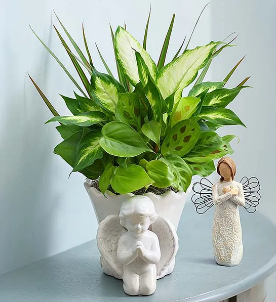 Sympathy Gifts for Parents - Angel Dish Garden